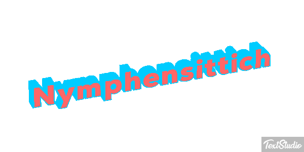 Nymphensittich Texteffekt