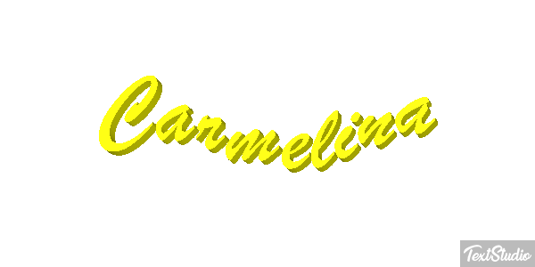 Carmelina Effetto testo
