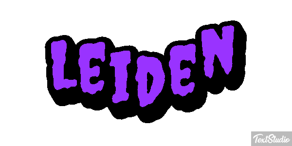 Leiden テキスト効果