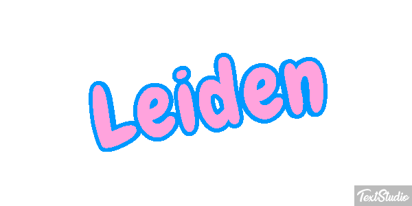 Leiden テキスト効果