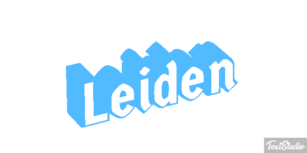 Leiden テキスト効果