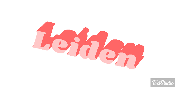Leiden テキスト効果