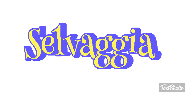Selvaggia Effetto testo