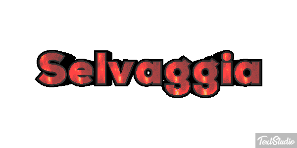Selvaggia Effetto testo