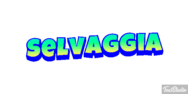 Selvaggia Effetto testo