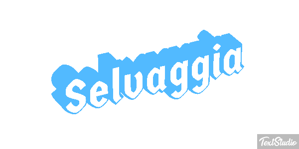 Selvaggia Effetto testo