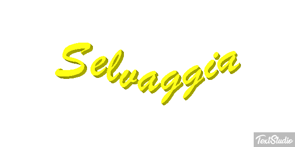 Selvaggia Effetto testo