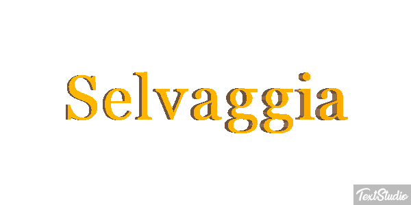 Selvaggia Effetto testo
