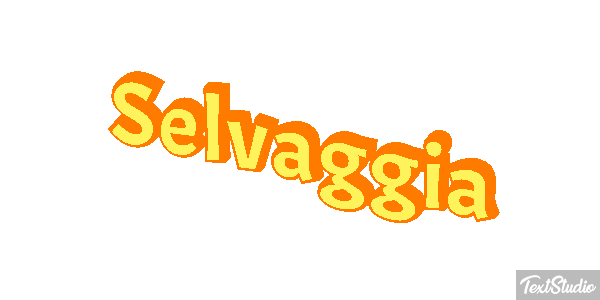 Selvaggia Effetto testo