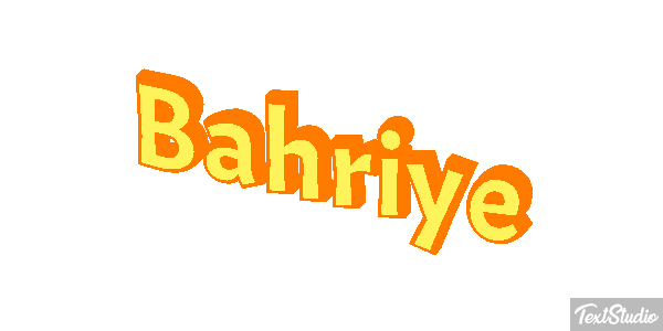 Bahriye Metin efekti