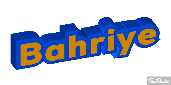 Bahriye Metin efekti