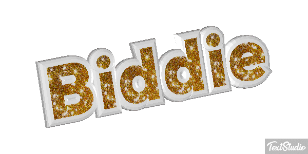Biddie Text effect