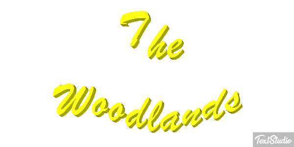 The Woodlands Texteffekt