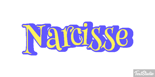 Narcisse Text effect