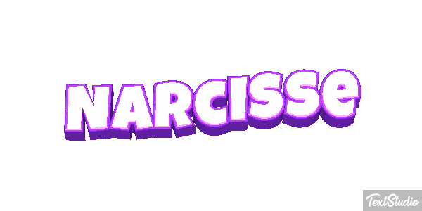 Narcisse Text effect