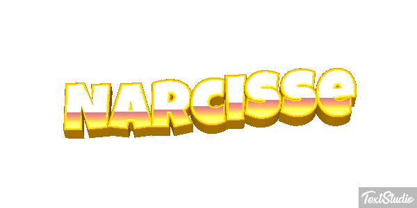 Narcisse Text effect