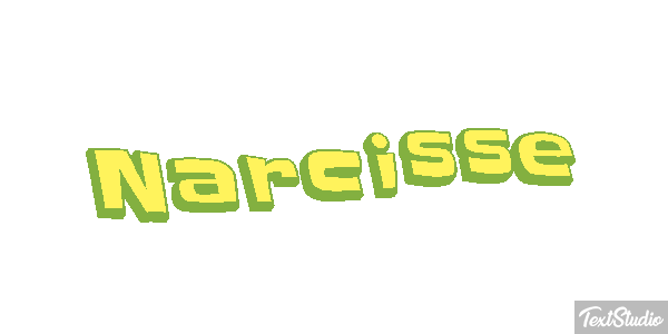 Narcisse Text effect