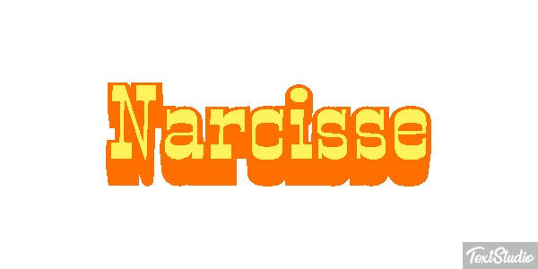 Narcisse Text effect