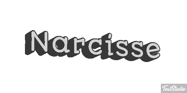 Narcisse Text effect