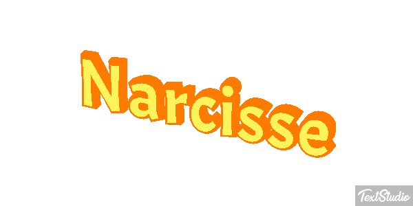 Narcisse Text effect