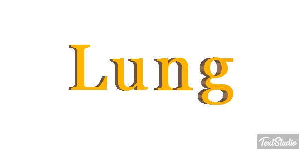 Lung テキスト効果