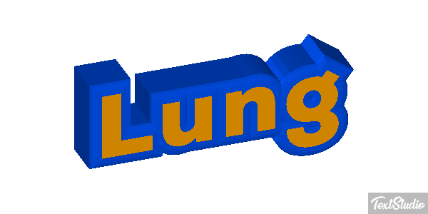 Lung テキスト効果