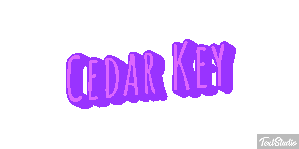 Cedar Key Text effect