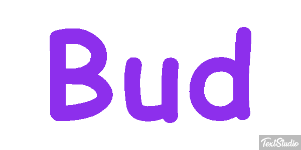 Bud Text effect