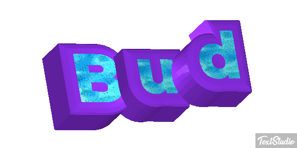 Bud Text effect
