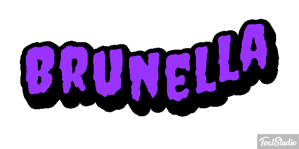 Brunella Effetto testo