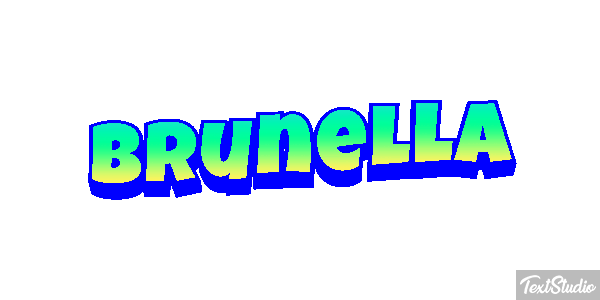Brunella Effetto testo