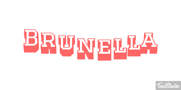 Brunella Effetto testo