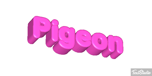 Pigeon Effet de texte