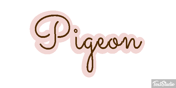 Pigeon Effet de texte