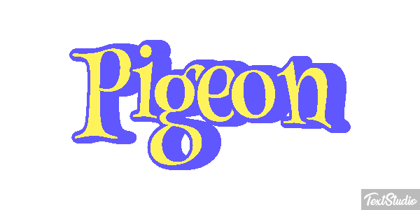 Pigeon Effet de texte