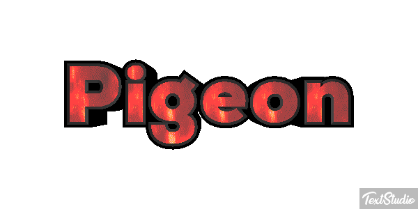 Pigeon Effet de texte