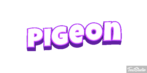 Pigeon Effet de texte