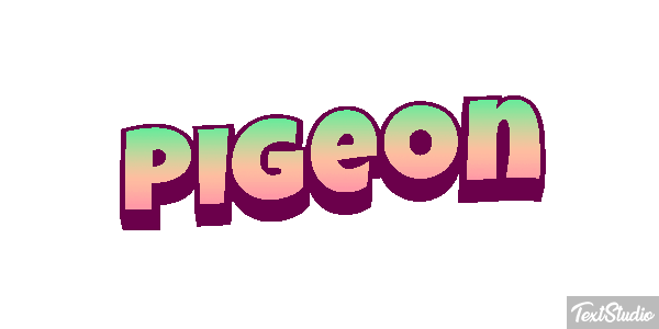 Pigeon Effet de texte