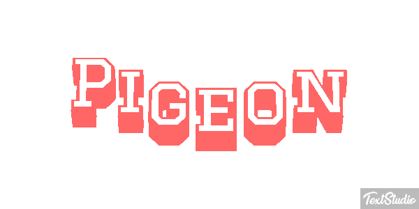 Pigeon Effet de texte