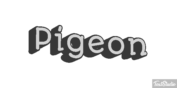 Pigeon Effet de texte