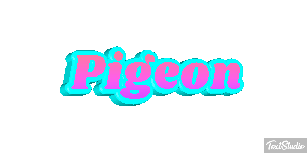 Pigeon Effet de texte