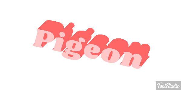 Pigeon Effet de texte