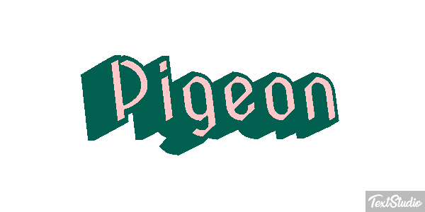 Pigeon Effet de texte