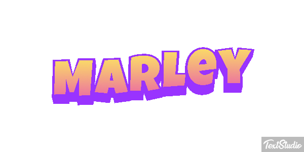 Marley Effet de texte