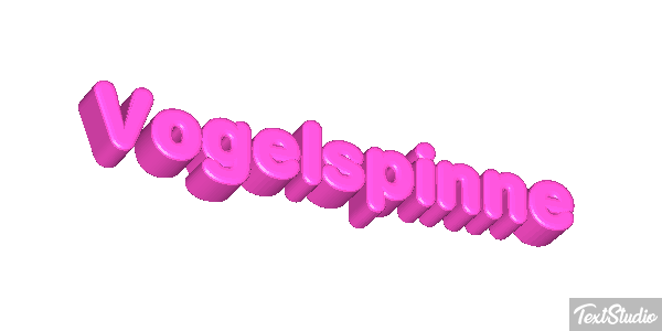 Vogelspinne Texteffekt