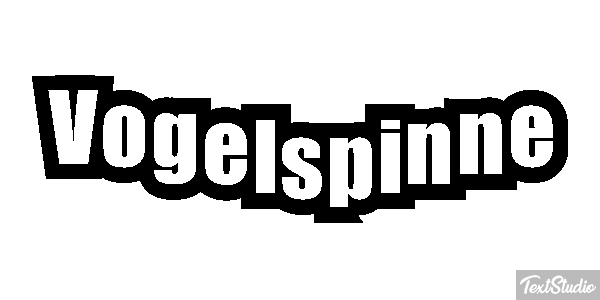 Vogelspinne Texteffekt
