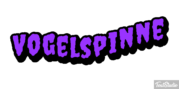 Vogelspinne Texteffekt