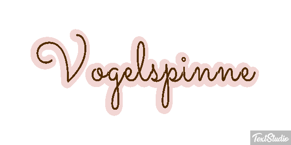 Vogelspinne Texteffekt