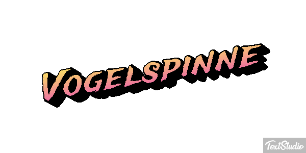 Vogelspinne Texteffekt