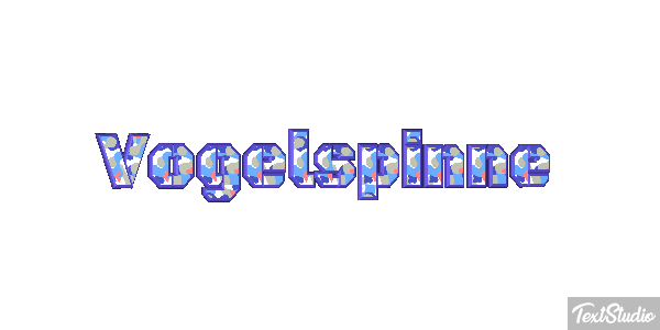 Vogelspinne Texteffekt
